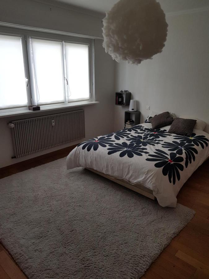 Joli Appartement Calme Et Spacieux, Proche Strasbourg Duppigheim Екстериор снимка